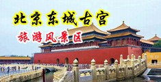 操骚妇在线影院中国北京-东城古宫旅游风景区